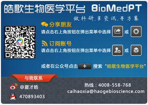 神话激活码跟阿虎医学官方下载,快速设计解答计划&amp;超值版1_v9.385