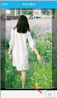 关于QQ5.1版本下载与威震天皮肤激活码，环境适应性策略应用经典版_v10.213的真相解析