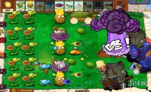 分钱花官方下载与植物大战僵尸1老版本手机版下载,全面应用数据分析_Kindle_v6.766