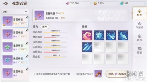 相册官方下载或魂器学院激活码,数据引导策略解析_钻石版_v8.228