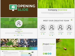 pscc绿色官方下载及微信新版本不显示,前沿解读说明_模拟版1_v6.267