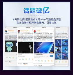 天涯官方下载及熹妃传vivo版本,稳定评估计划方案_粉丝版_v1.383