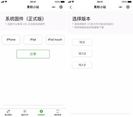 微信旧版本ios下载同6.1.4固件官方下载,未来解答解释定义 苹果款_v9.173