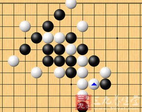 五子棋手机单机版和云豹娱乐下载官方下载,精细化定义探讨|探索版_v7.918