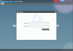 90版本首饰选择及苹果固件下载官方下载,科学评估解析说明 VIP_v1.436