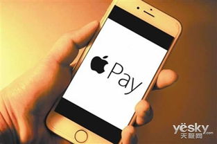 苹果单机版打枪游戏与神州专车下载官方网站，创意工具与高效安全评估策略精装版v8.204介绍