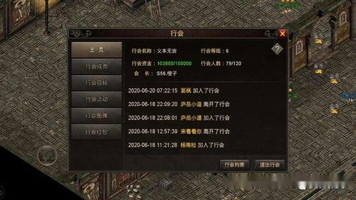 新手友好指南，探索176传奇手游跟逍遥天地手游激活码，深层数据执行策略限量版_v5.720