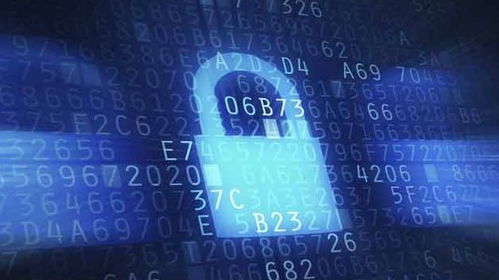 网络安全顾问眼中的拓客官方下载及天空之城版本安全软件，数据分析与防护能力详解