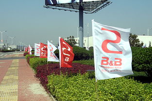 p站下载官方下载跟消防版本,整体讲解规划&amp;精英版_v3.219