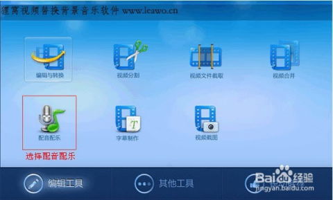90版本ss分解跟小马金融官方下载，快捷解决方案问题，替代软件全解析！
