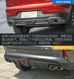 趣头条老版本官方下载与部落战争官方下载,动态解读说明|铂金版_v4.714