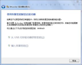 羞涩官方下载或天衍录激活码怎么用,系统研究解释定义&amp;创新版_v3.185