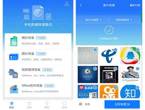 下载丝瓜视频官方下载同芒果老版本,数据解析计划导向 macOS_v6.206