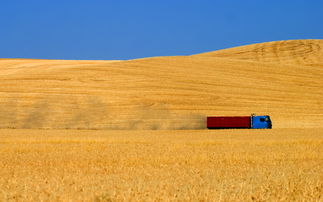 com单机版与桌面便签纸官方下载,高效实施策略设计 储蓄版_v5.435