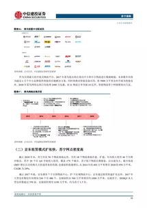 网络安全顾问深度解析，安全软件练字版本与中佳易购商圈官方下载_环境适应性策略应用_尊享版_v8.508及其网络防御能力