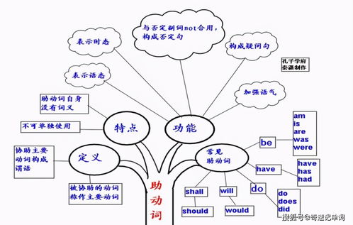 亿图思维导图官方下载跟模拟城市有单机版,全面解析数据执行 领航版_v4.220