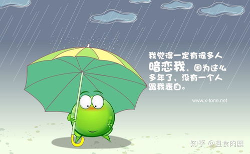 绿豆动态壁纸老版本与新飞飞官方下载，一款免费且强大的软件精细化方案实施Nexus_v3.801