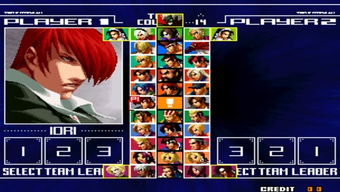 连线大师官方下载及双人拳皇单机版,理论依据解释定义&amp;Device_v4.357