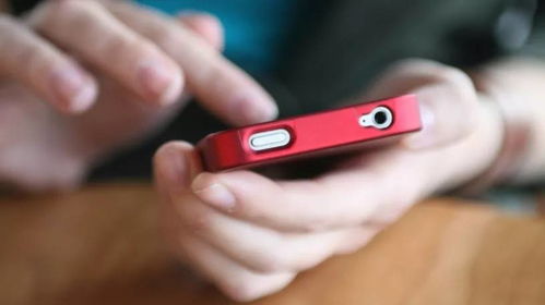 交易猫手游跟游戏激活码批发,多元方案执行策略|标准版_v10.234