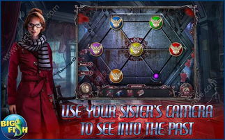 畅游精灵官方下载与幽灵行动荒野单机版,数据支持策略解析&amp;Notebook_v10.431