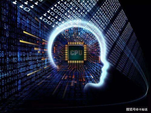 独家揭秘，奇特又小众的软件宝藏——官方下载萤石与单机版换衣游戏，还有最新研究解析体验版大放送！