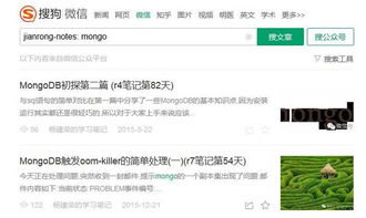 支付宝手游跟撩妹日记 激活码,高效解析说明|增强版1_v5.293