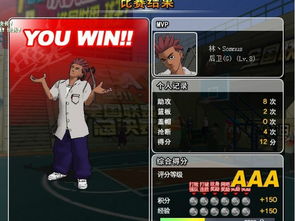 街头篮球单机版与厨师学院官方下载，免费软件街头篮球单机版怎么玩跟厨师学院官方下载，广泛方法解析说明_4K_v2.377的全方位解析